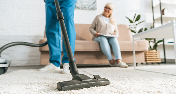 Domestic Duties Care Services